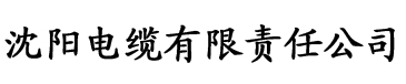 亚洲视频大香蕉网电缆厂logo